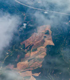 Aerial view of a palm oil plantation in Malaysia.