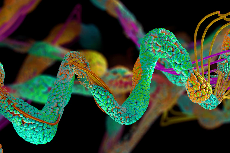 Protein molecule.