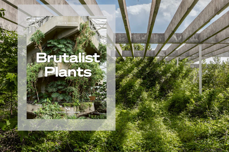 The cover for Brutalist Plants set against some concrete and greenery