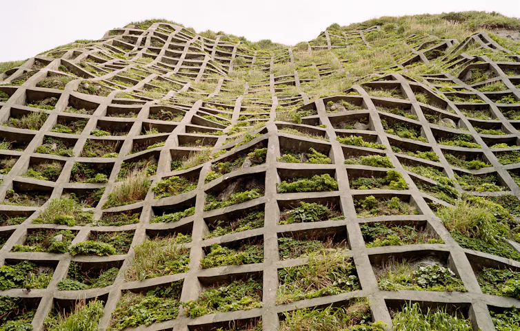 A concrete building overrun with plants.