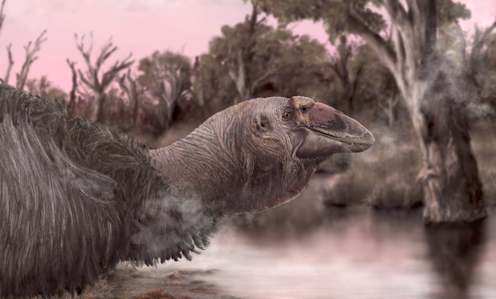 New fossils show what Australia’s giant prehistoric ‘thunder birds’ looked like – and offer clues about how they died out