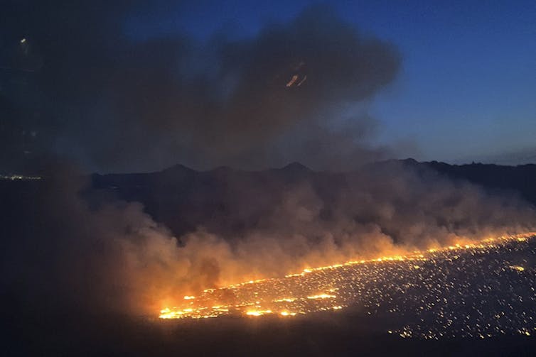 A wildfire sweeps through a grassy plain.