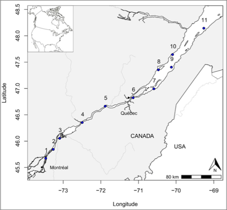 carte des sites échantillonnés