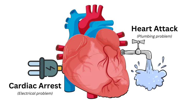 Heart attack vs cardiac arrest