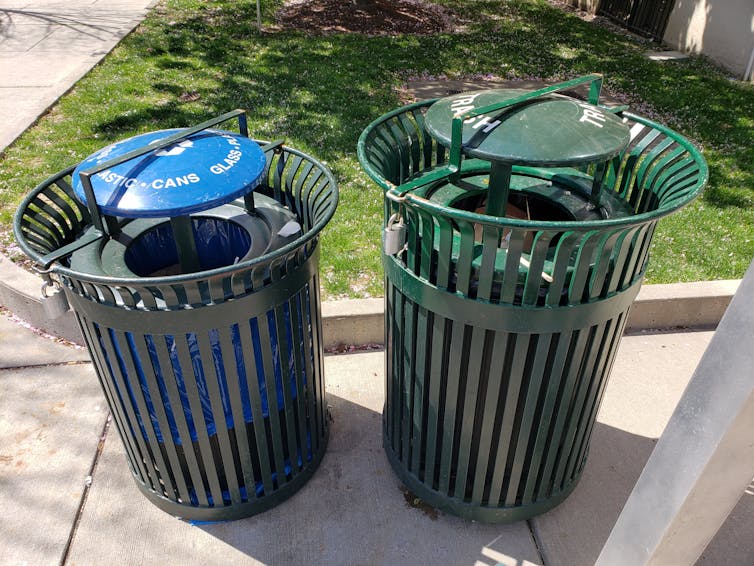 Two plastic trash cans with lids on a sidewalk next to a patch of grass.