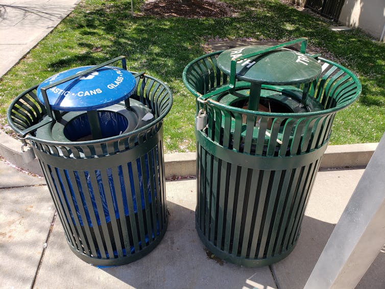 Two plastic trash cans with covers on a sidewalk next to a patch of grass.