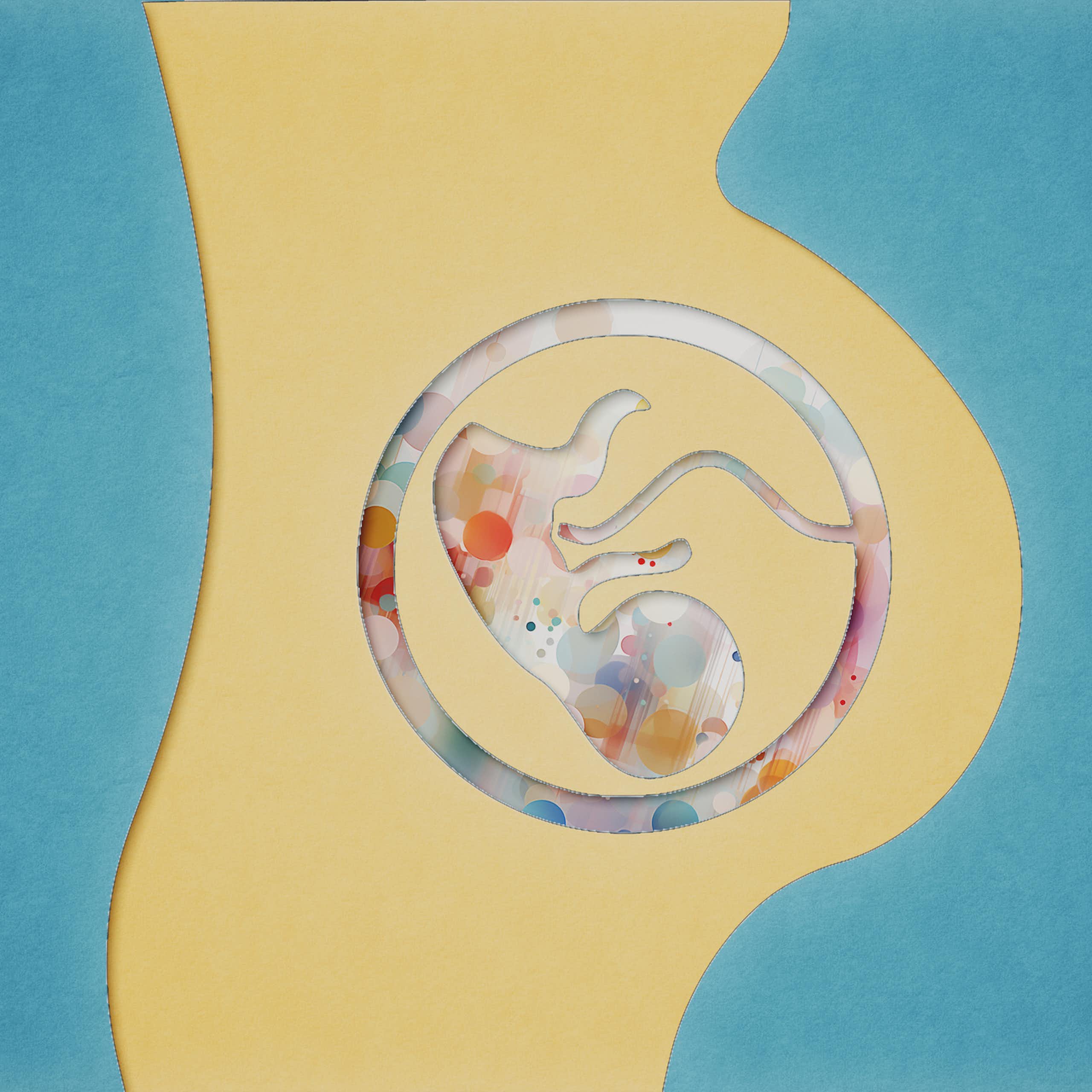Felt vector illustration of pregnant person's silhouette with the silhouette of a fetus connected by an umbilical cord to a circle