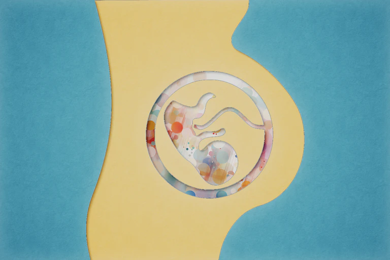 Felt vector illustration of pregnant person's silhouette with the silhouette of a fetus connected by an umbilical cord to a circle