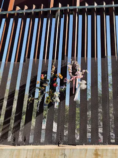 flowers hung up on security wall