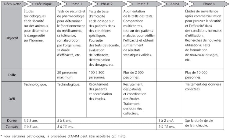 Les différentes étapes de la mise au point d’un médicament, d’après Abecassis, P. & Coutinet, N. « Économie du Médicament », collection Repères, éditions La Découverte.