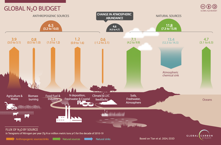 Global N2O budget illustration shows emissions sources
