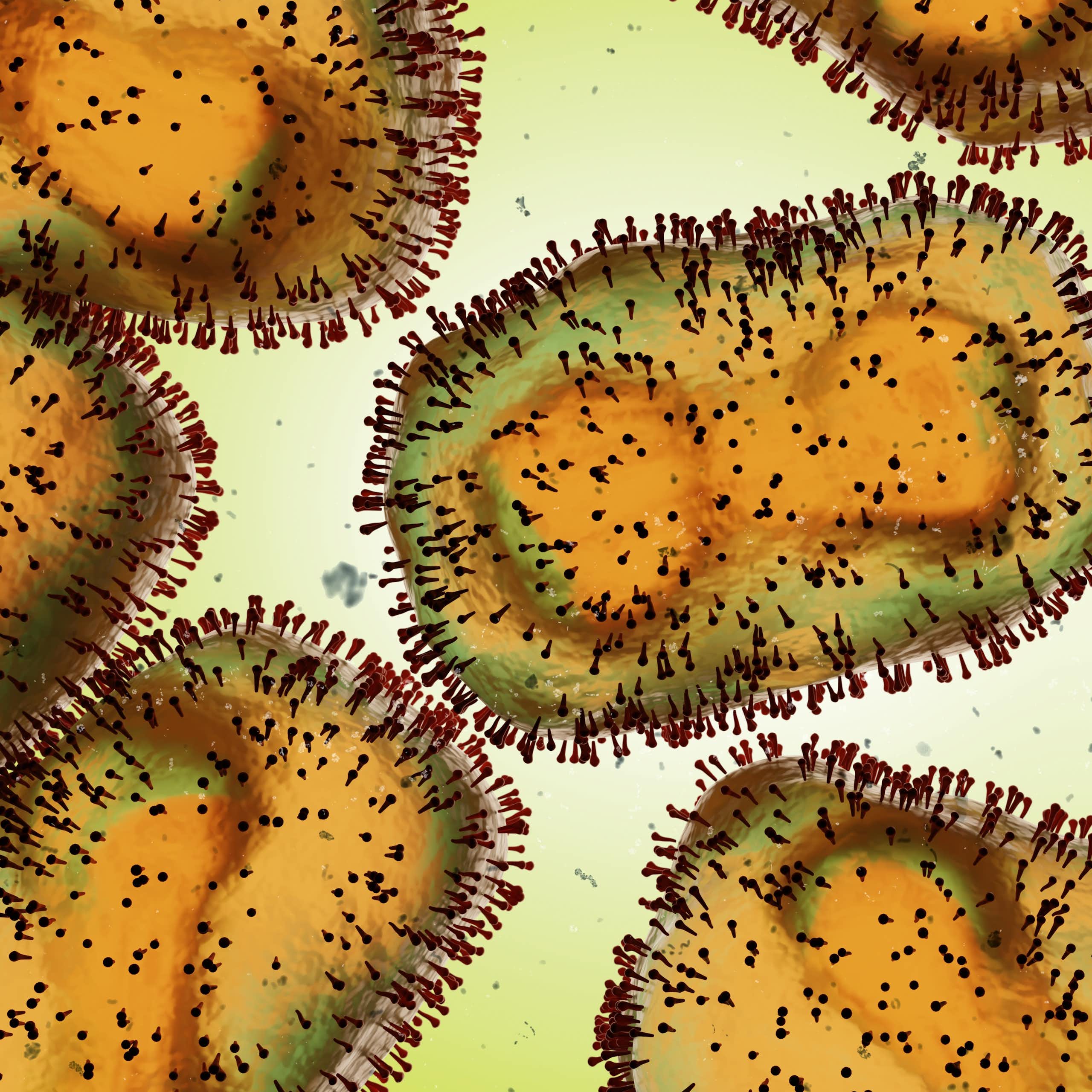 An illustration of the mpox virus close up.