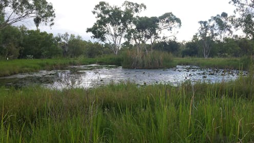 Australia’s ‘learning by doing’ approach to managing large mines is failing the environment