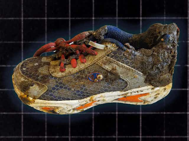 A running shoe covered in grime and barnacles displayed on a dark grid background.