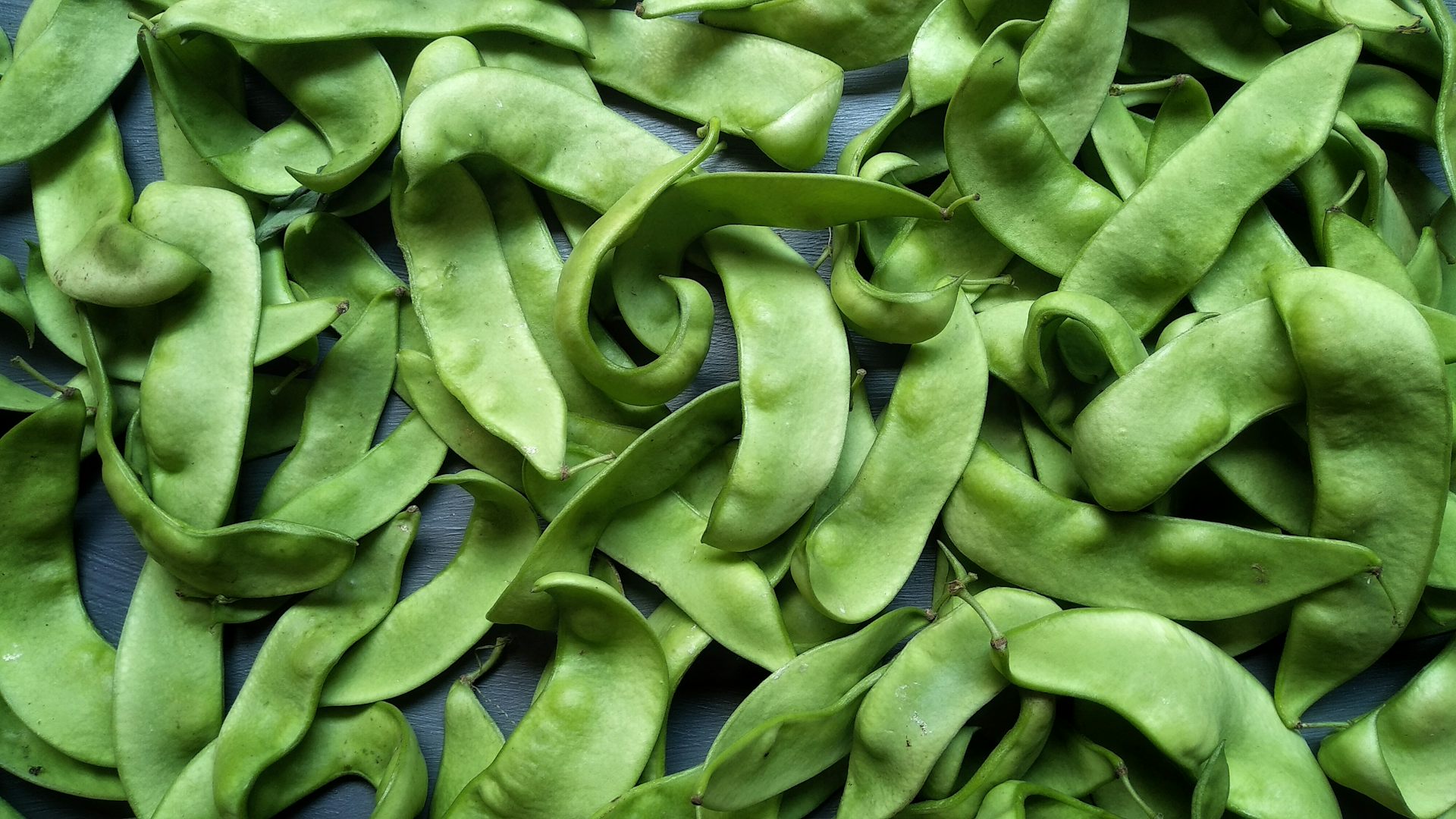 Kacang lima, pangan lokal super yang potensial membantu penanganan ‘stunting’