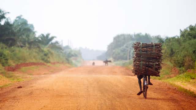 View from behind of a man on a bicycle on an unpaved road. The bike is piled high with firewood.
