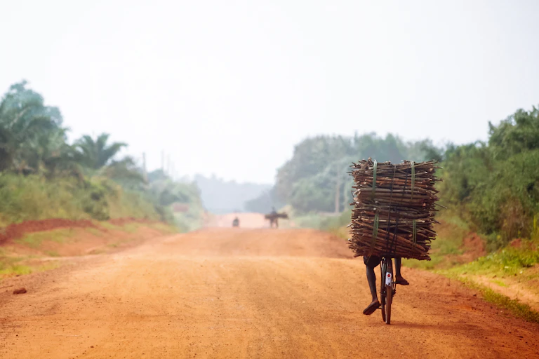 View from behind of a man on a bicycle on an unpaved road. The bike is piled high with firewood.