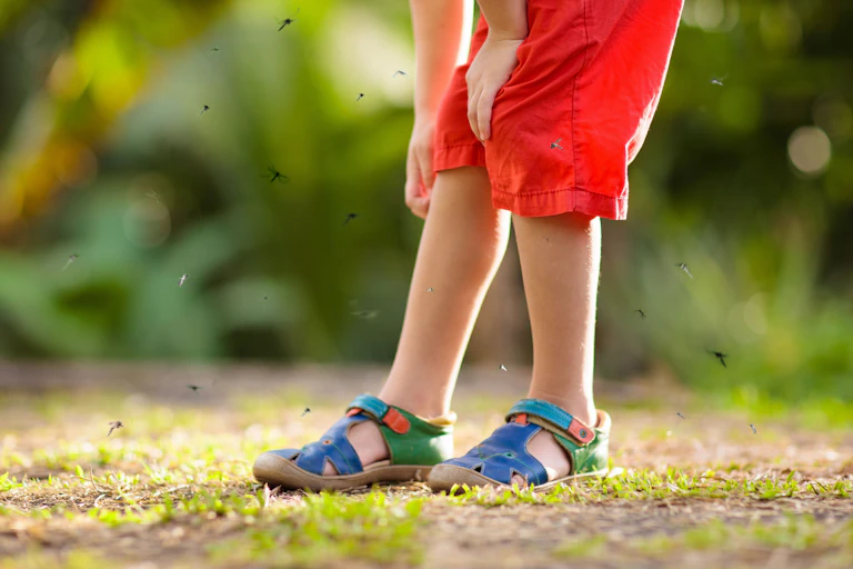 Un enfant se gratte la jambe.