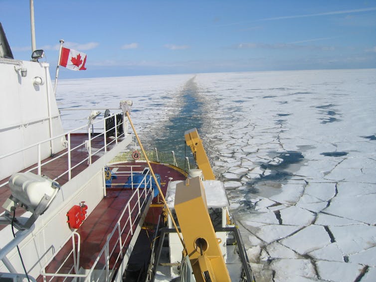Diatom algae lines cracks where the ice has broken behind the ship.
