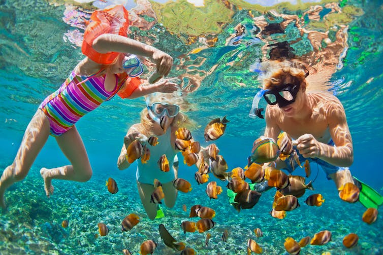 Mother, father and baby in arm bands snorkeling with colorful tropical fish, underwater view