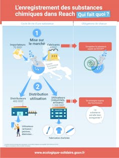 Reach Regulation Visual How does REACH, the EU regulation governing chemical substances, work?