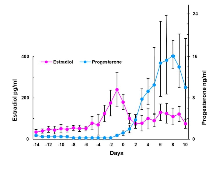 Gráfico de linhas traçando os níveis crescentes de estrogênio que atingem o pico no primeiro dia do ciclo menstrual antes de diminuir, e os níveis de progestagênio que atingem o pico no oitavo dia antes de diminuir