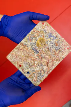 A partially transparent piece of flat plastic with marine organisms growing across it.