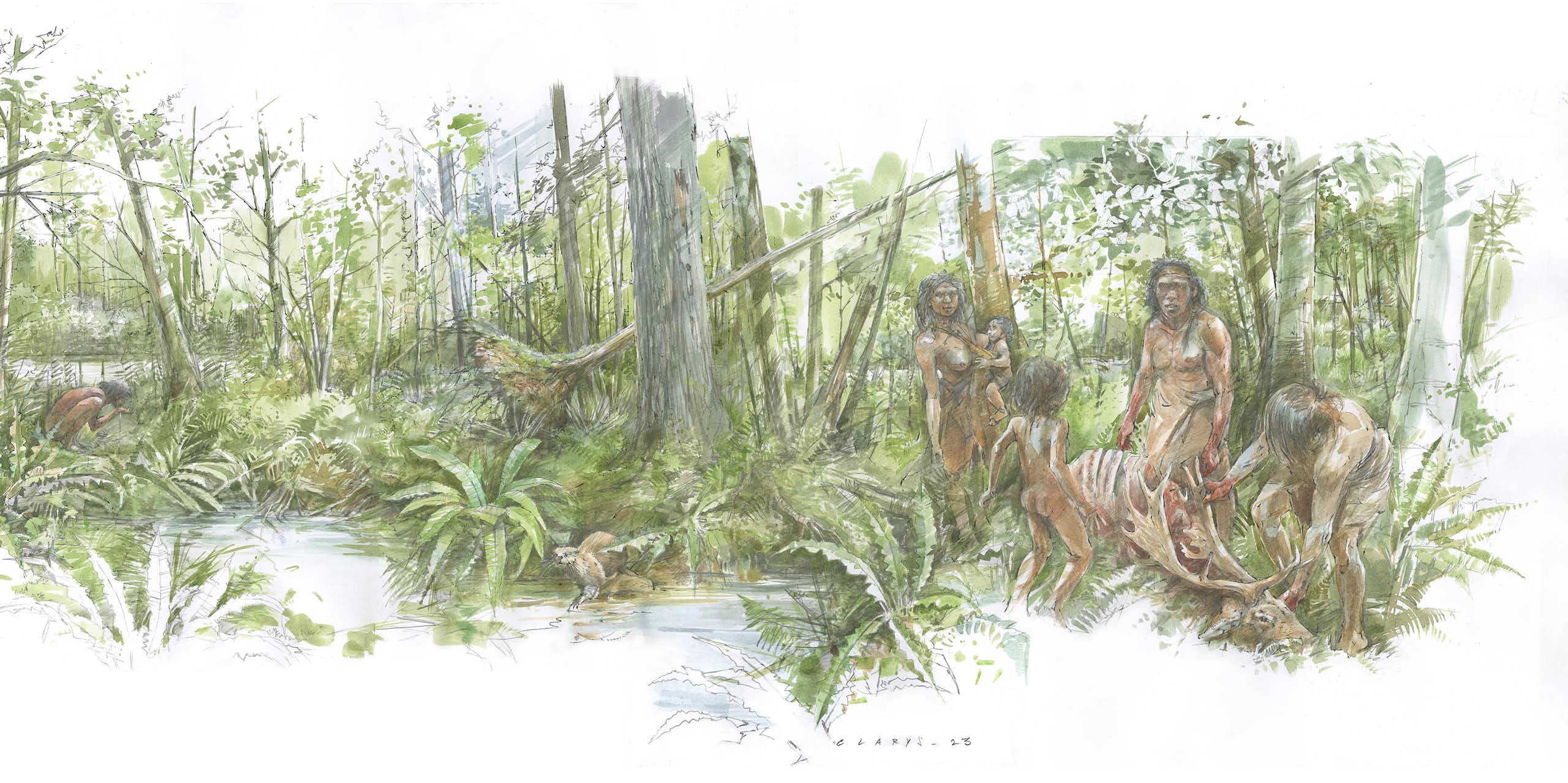 Néandertal : reconstituer son environnement dans le nord de la France il y a 123 000 ans