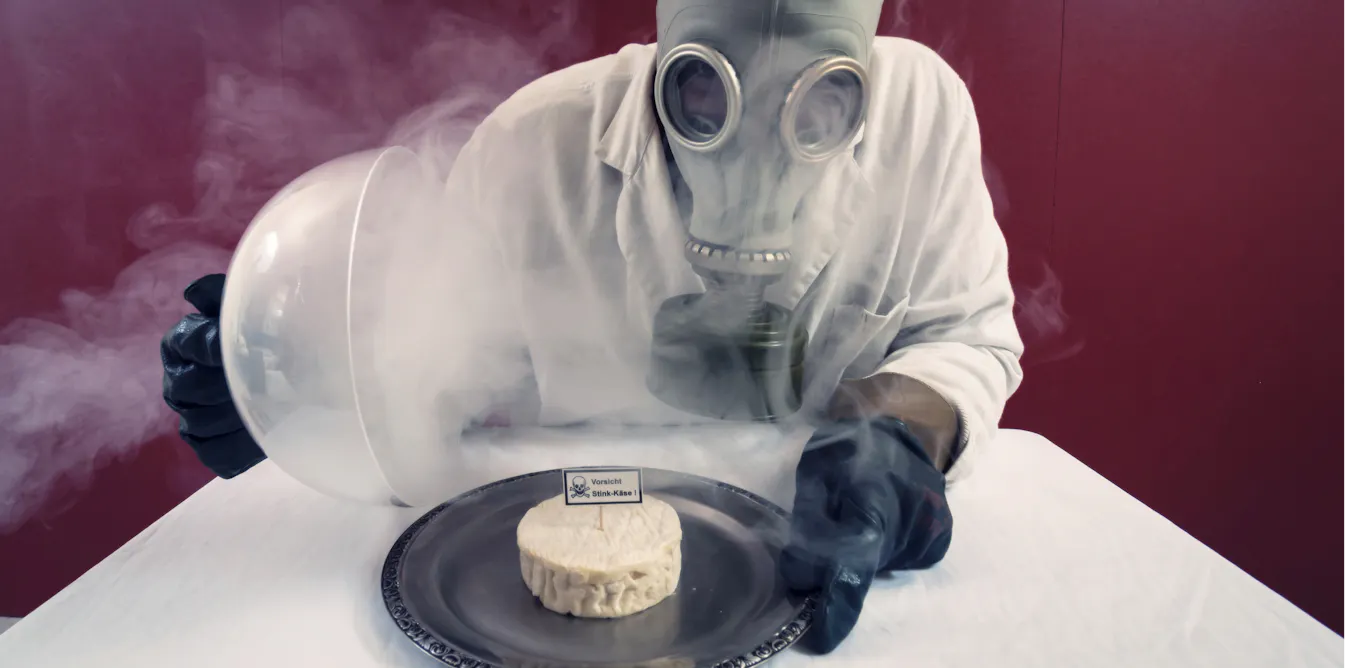 Pourquoi certaines odeurs sont perçues comme nauséabondes ? Pourquoi certaines odeurs sont perçues comme nauséabondes ?
