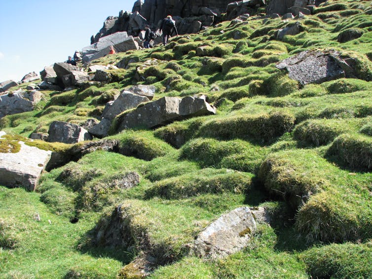 جانب تل عشبي أخضر به تلال وصخور رمادية وسماء صافية في الخلفية