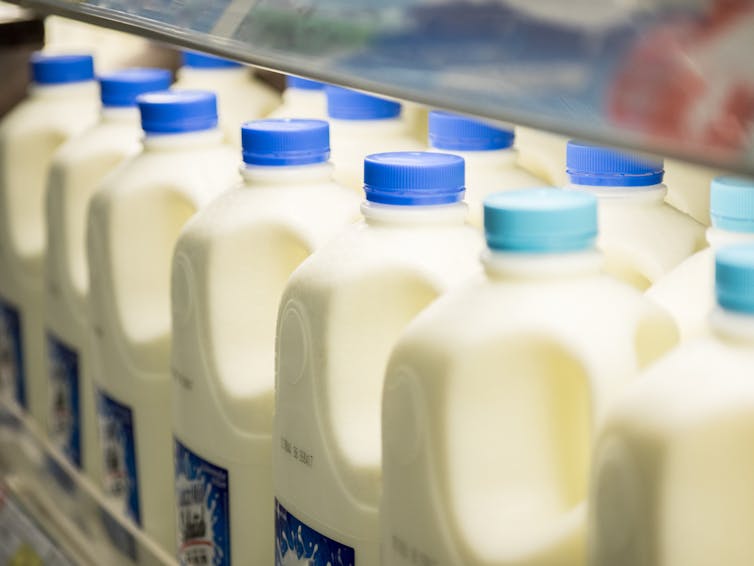 Rows of milk bottles in supermarket fridge