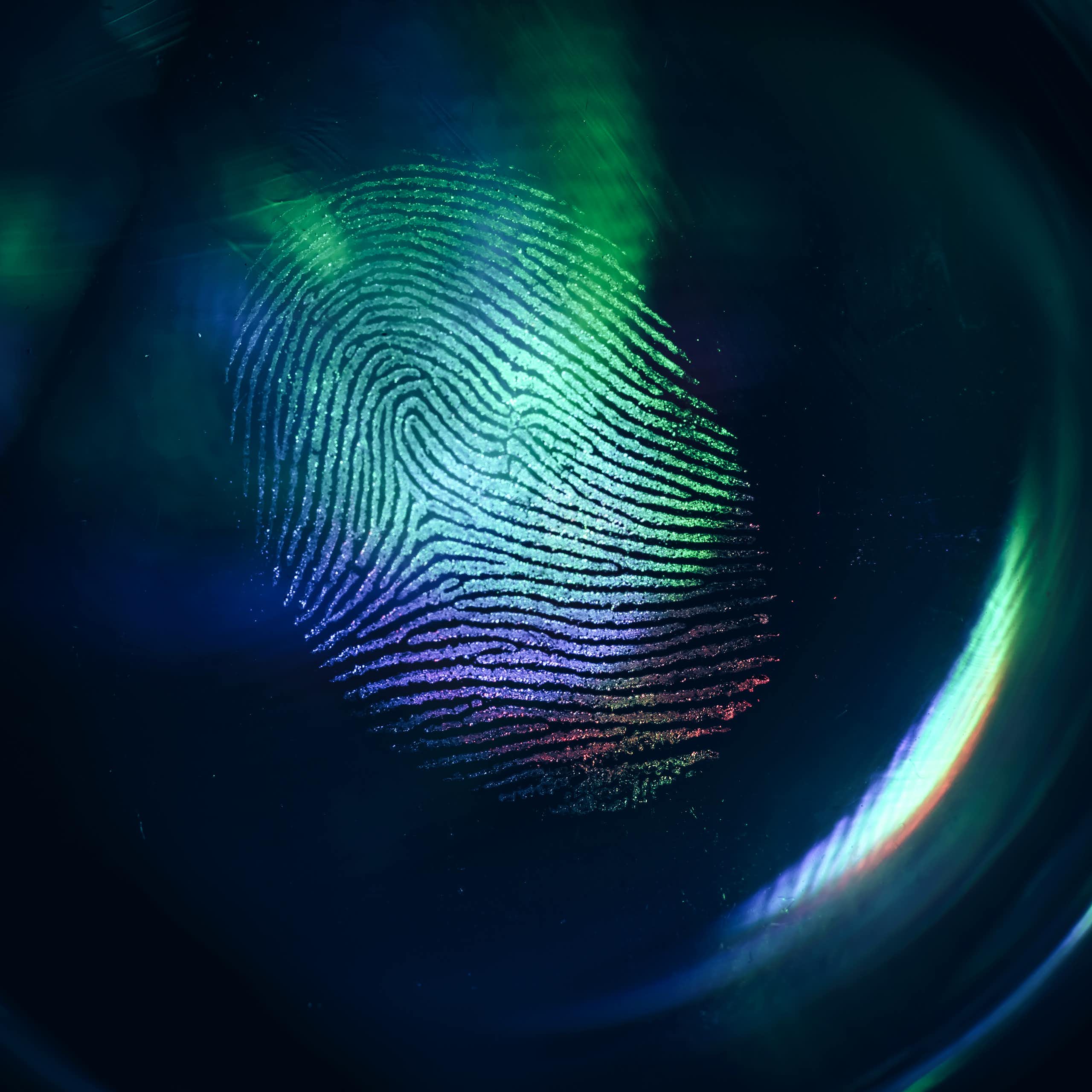 A fingerprint illuminated from above in blue, teal and purple.