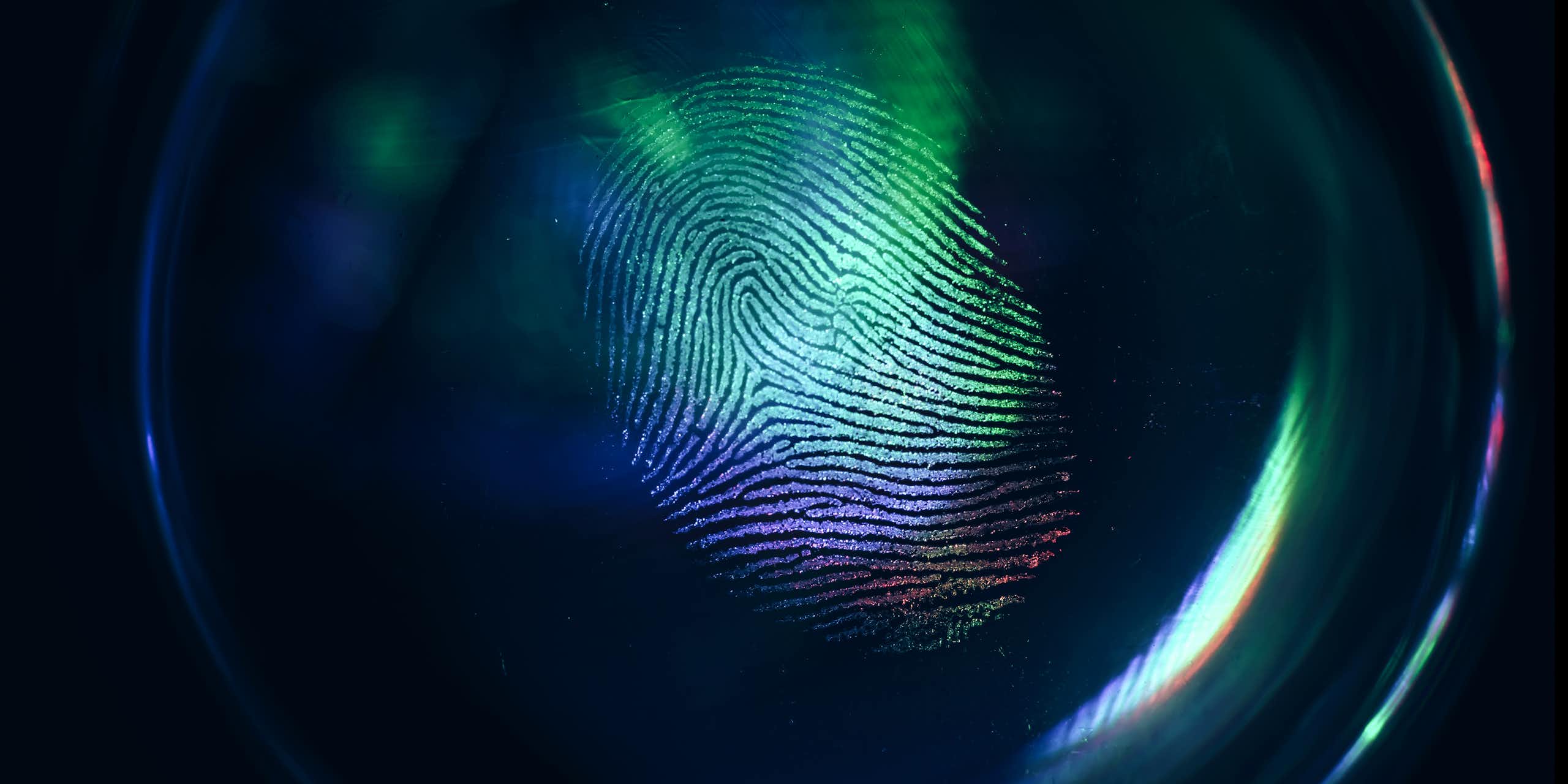 A fingerprint illuminated from above in blue, teal and purple.
