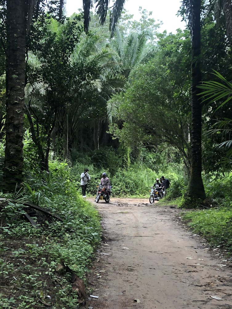 Motorbike riders pause on a forest path