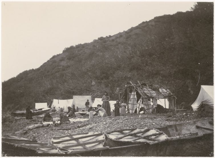 photo of people on rocky shoreline with tents and stretched seal skins