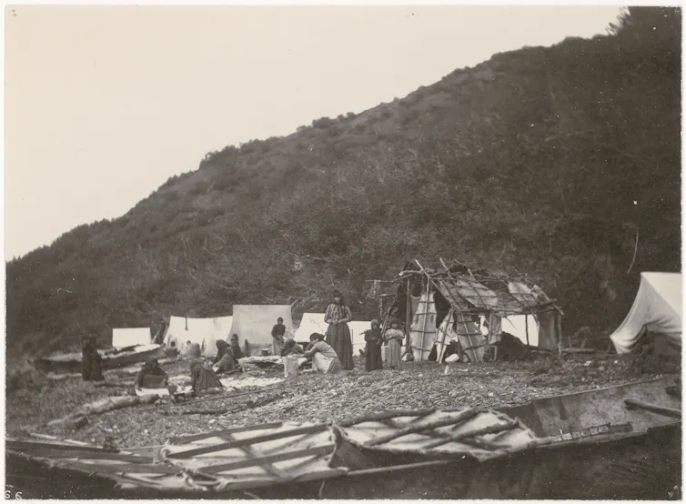 photo of people on rocky shoreline with tents and stretched seal skins