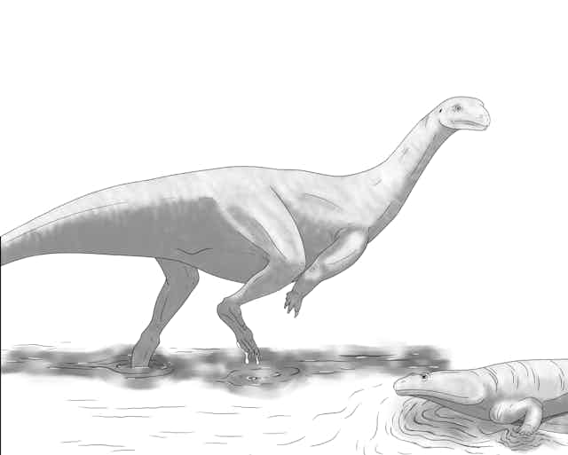 Drawing of two dinosaurs