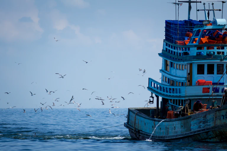 Un bateau de pêche entouré de mouettes.