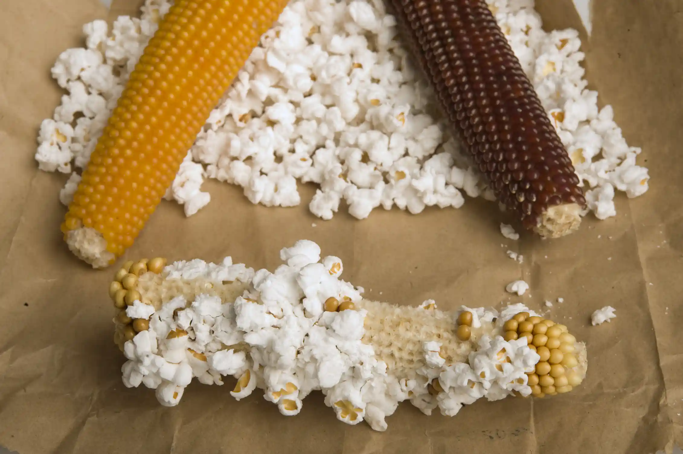 How Was Popcorn Discovered How Was Popcorn Discovered