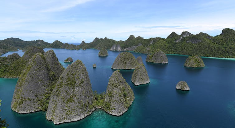 New evidence from West Papua offers fresh clues about how and when humans first moved into the Pacific 1 file 20240606 19 1hual.jpg?ixlib=rb 4.1 1