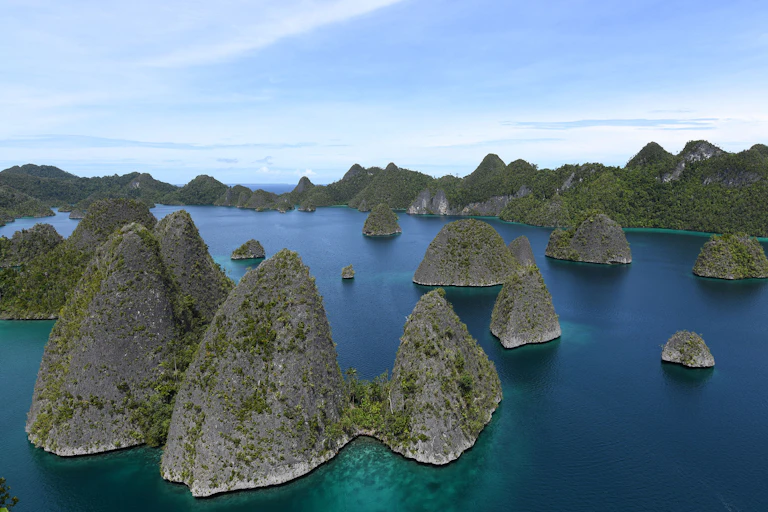 Karst islands in the Raja Ampat archipelago of West Papua.