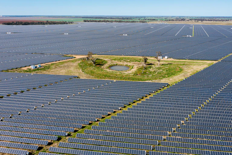 solar farm around trees and dam