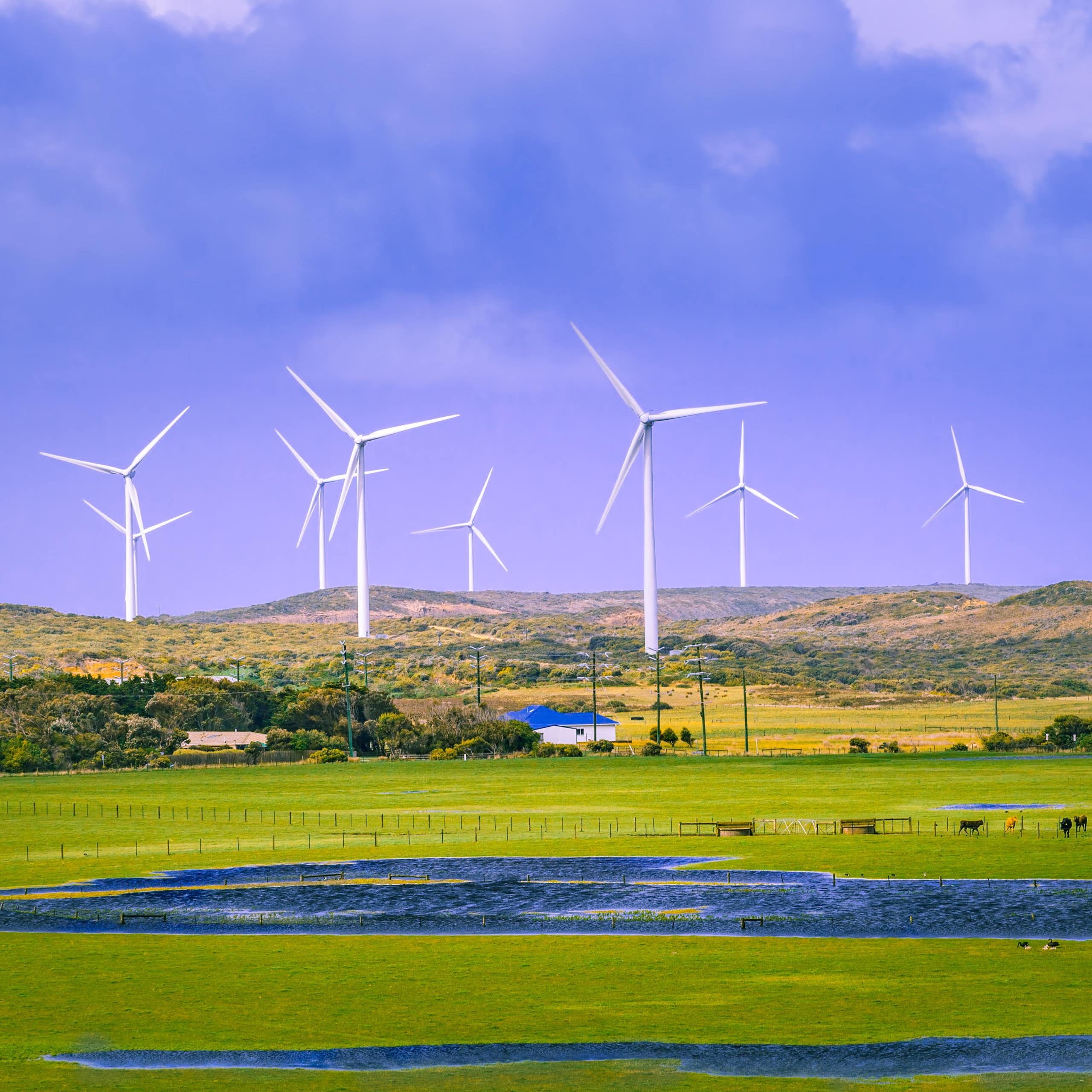 Rural area in Australia with pastures and wind turbines.