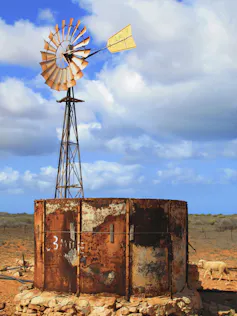 Sheep near windmill in dry outback Australia