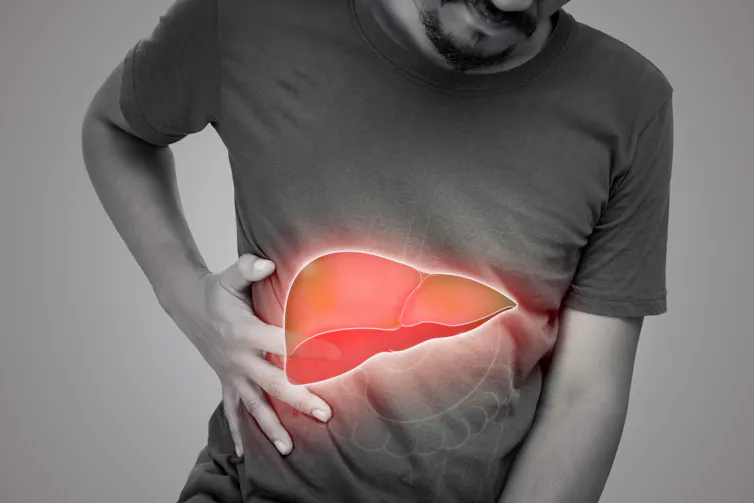 Uma ilustração do fígado dentro do corpo de um homem.