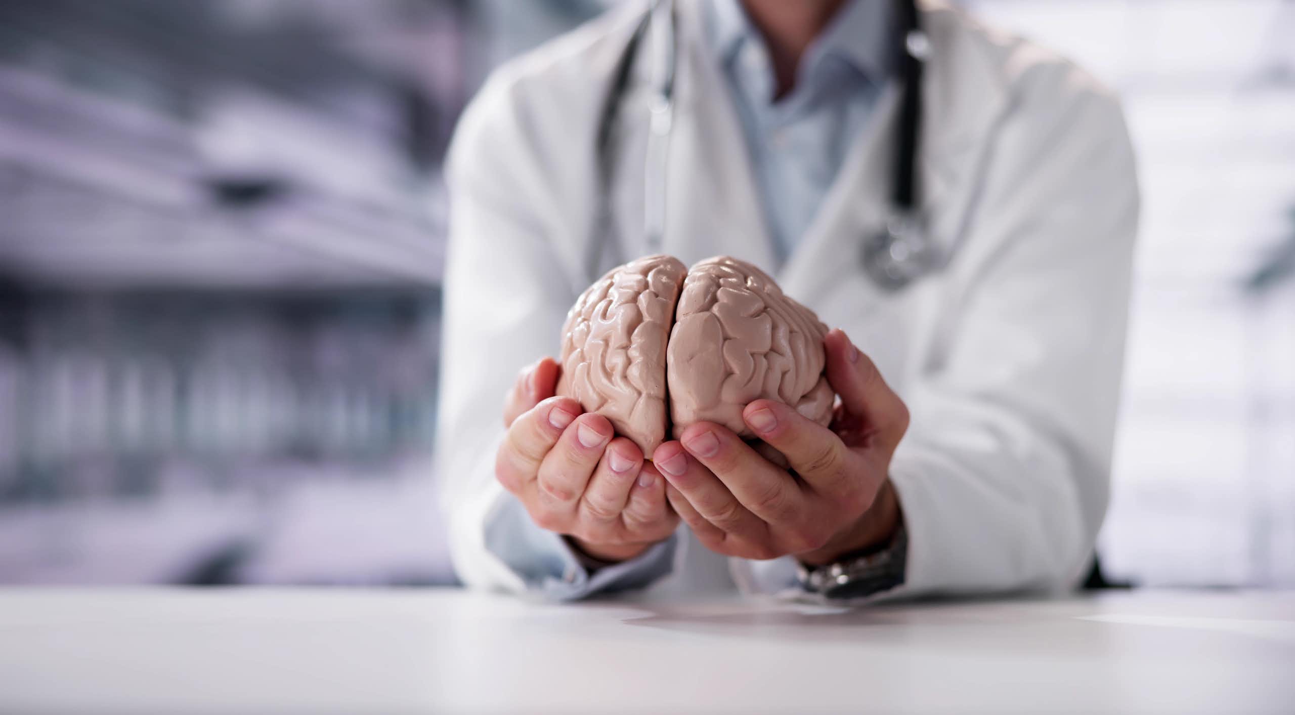 A person in a white lab coat holding a model of a brain