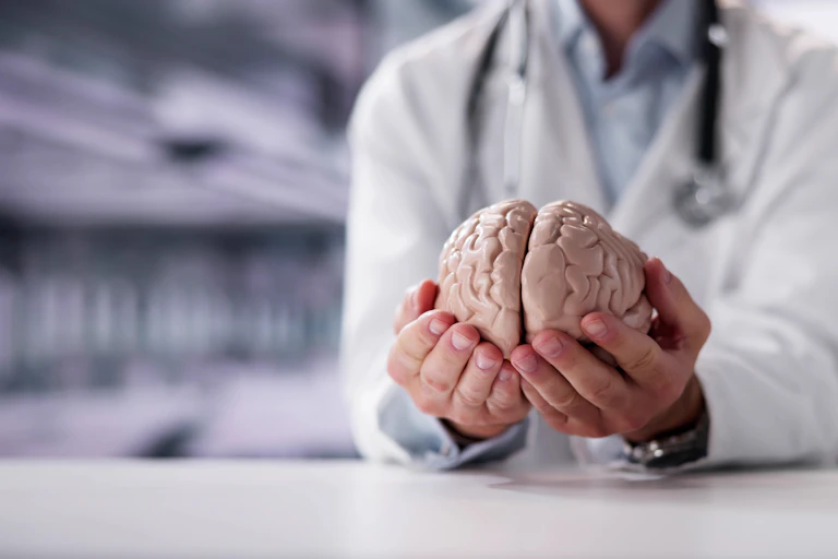 A person in a white lab coat holding a model of a brain