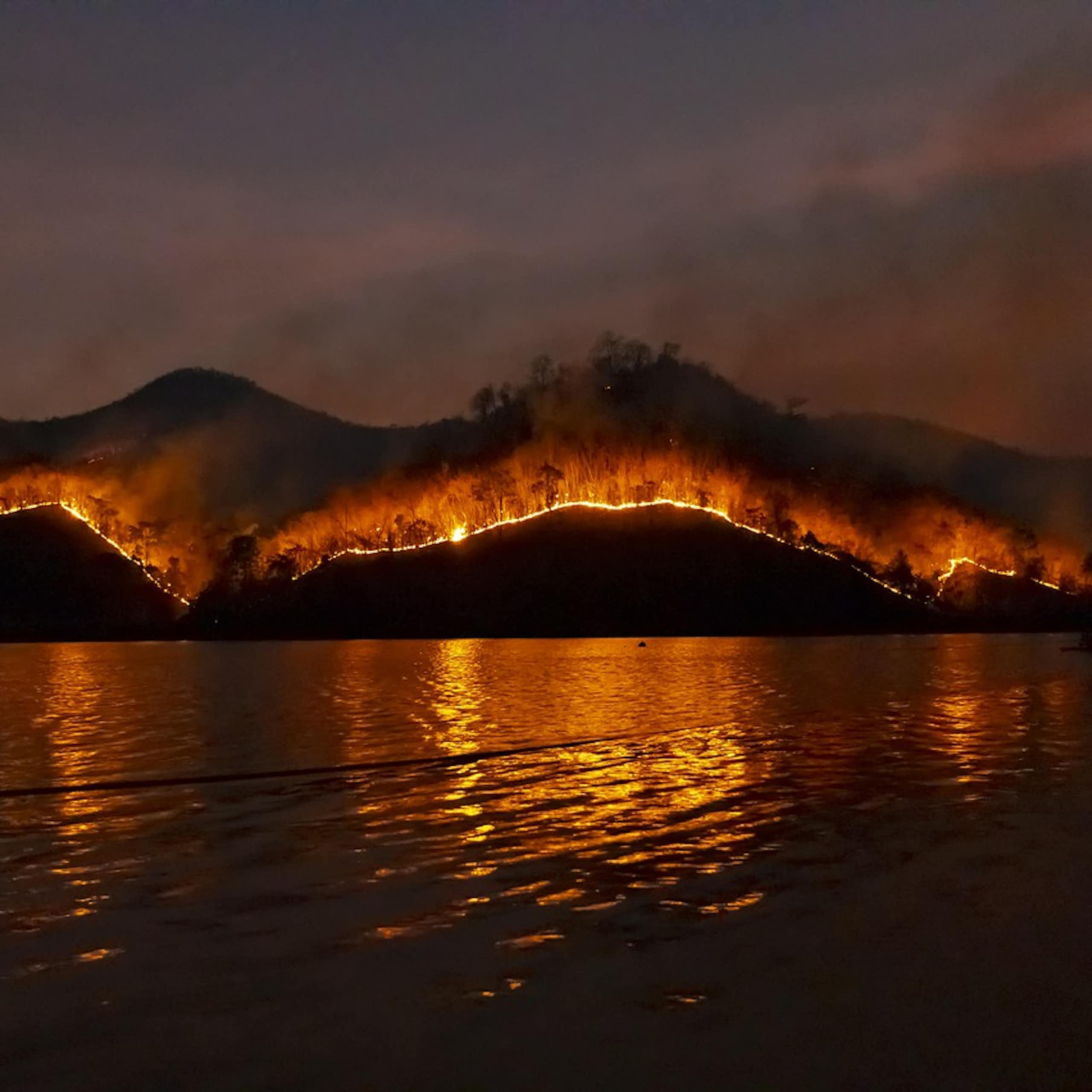 feux de forêt aux abords d'un lac