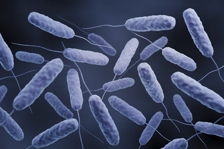 Cholera illustration