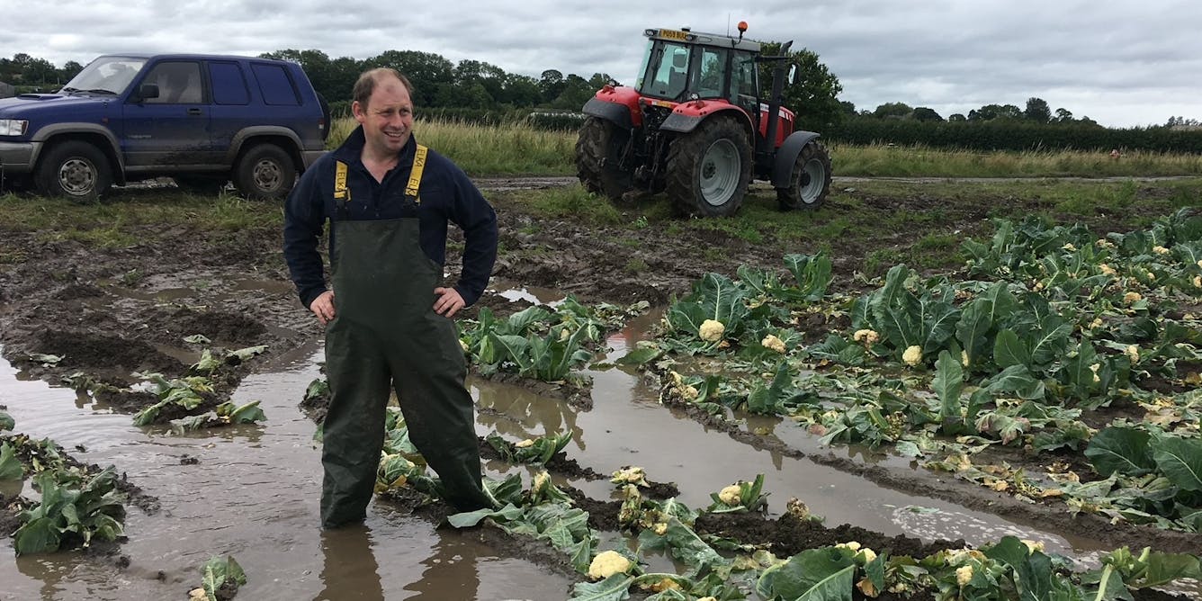 British farmers reveal their twin struggles with climate change and mental health